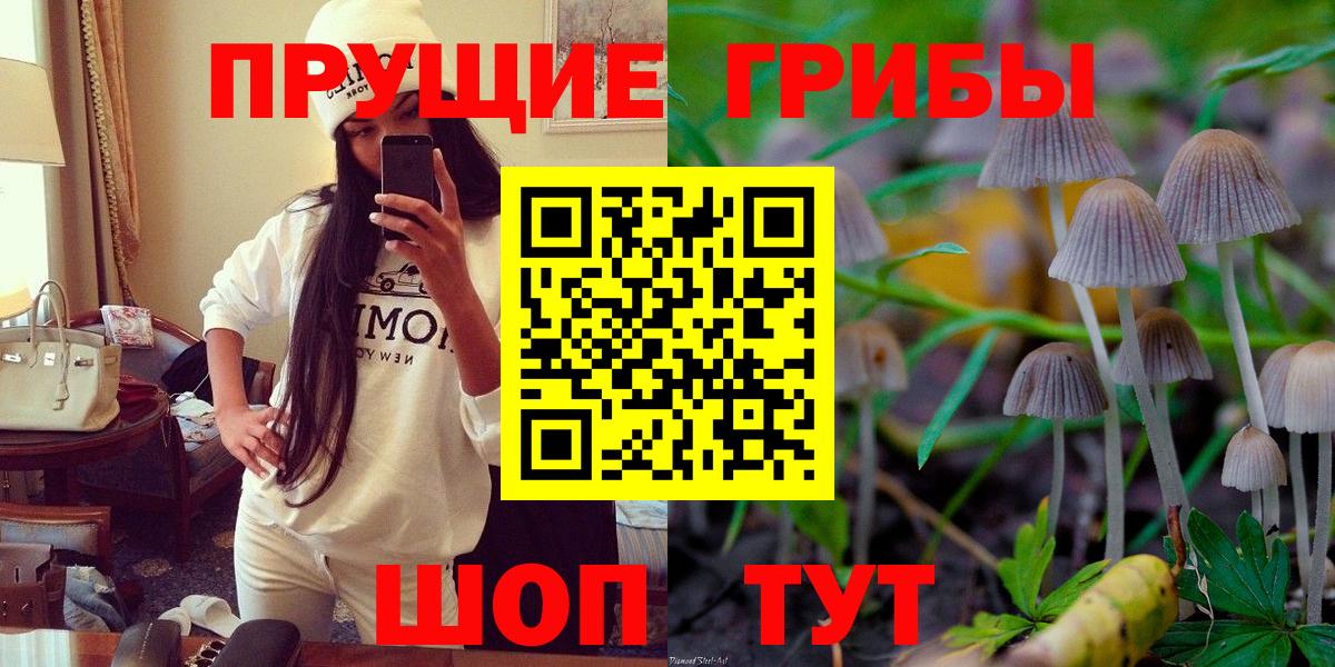 Миасс  Галлюциногенные грибы Cubensis  Вход с VPN 