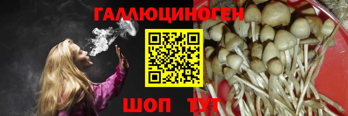 Миасс  Галлюциногенные грибы Psilocybe  Вход с VPN  купить  сайты  Псилоцибиновые грибы Cubensis 